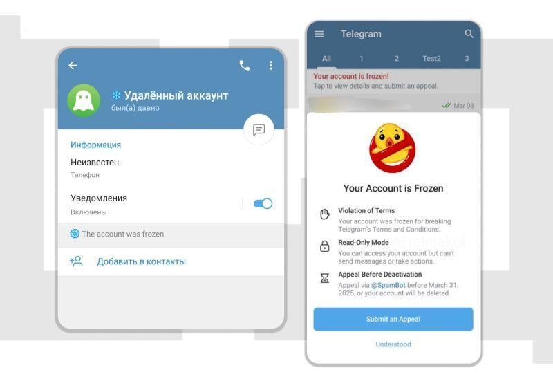 Примеры ограничений Telegram: удалённый и замороженный аккаунт